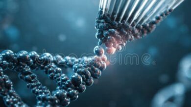 Life Insurance Quotes: Crucial Insights For Informed Decisions