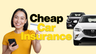 Car Insurance: Everything You Need To Know